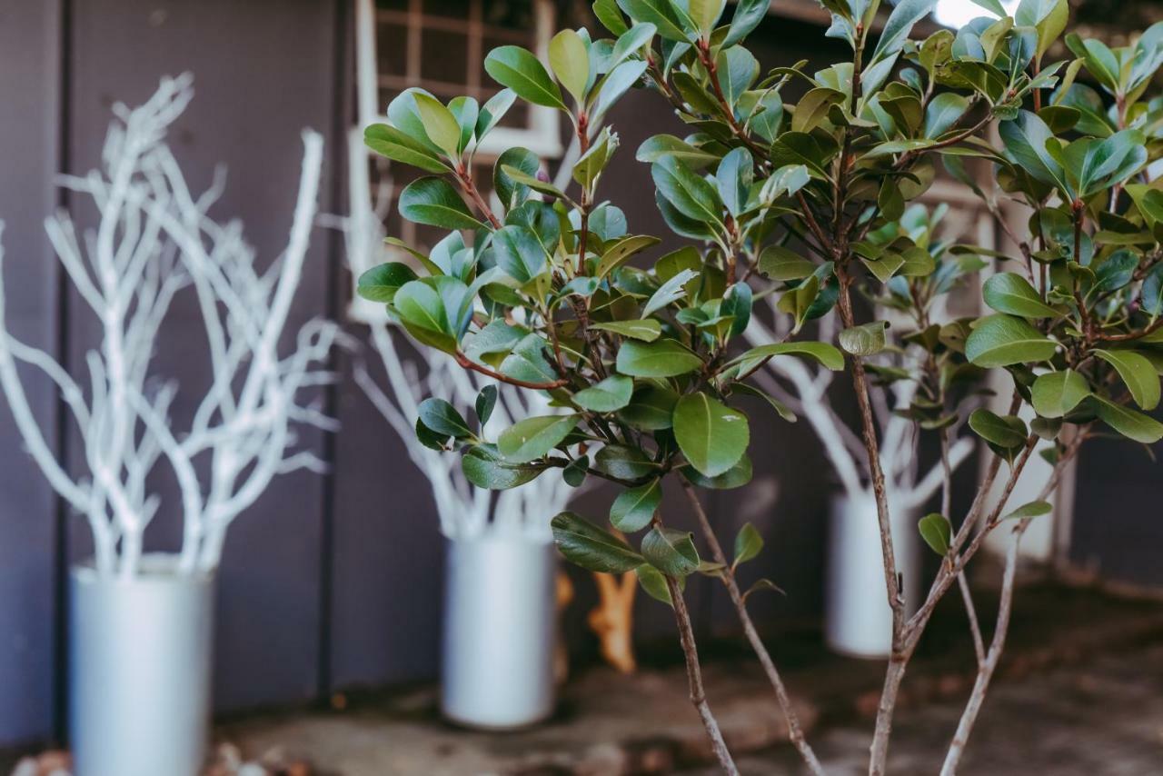 Yellow Door Apartment Bloemfontein Ngoại thất bức ảnh